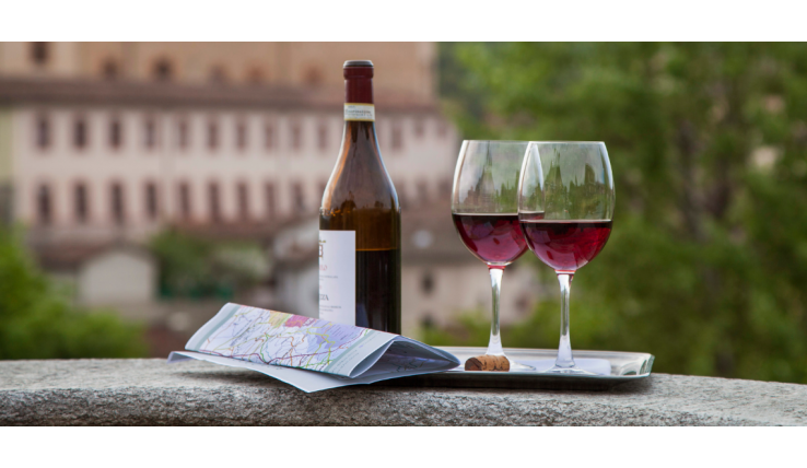 ABC del vino: l'arte di degustare il vino